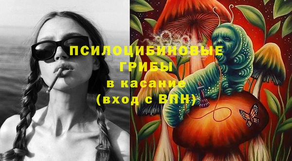 первитин Новодвинск