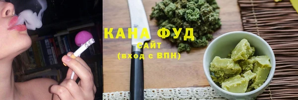 первитин Новодвинск
