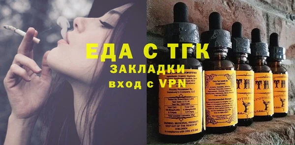 индика Снежинск
