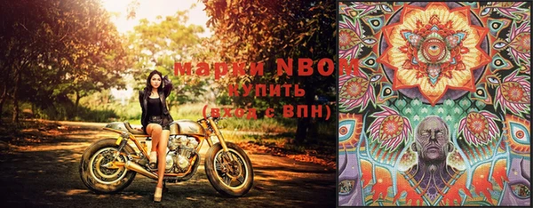 амфетамин Новокубанск