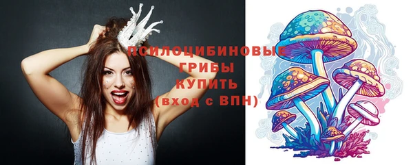 метадон Новозыбков