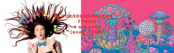 первитин Новодвинск
