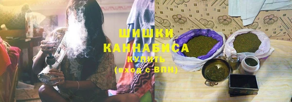 первитин Новодвинск