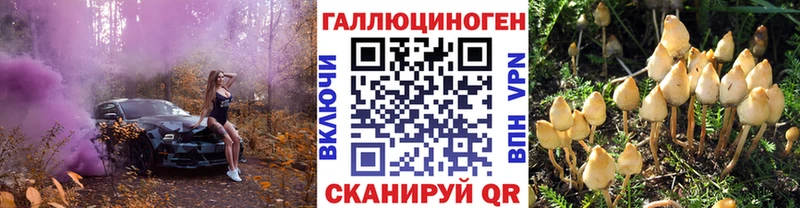 Галлюциногенные грибы Psilocybe  Черногорск 