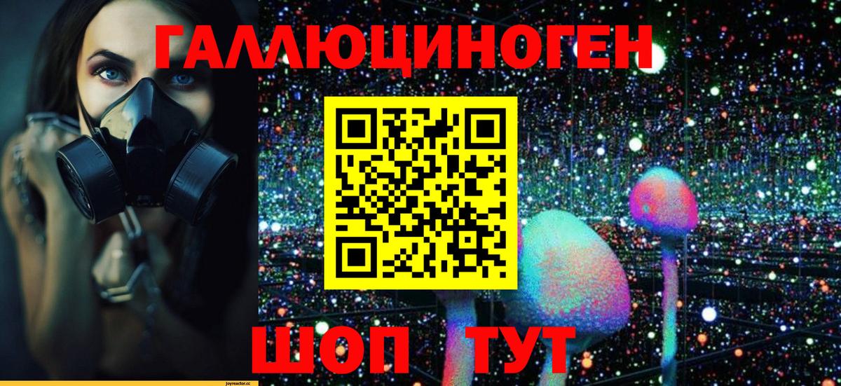 Черногорск  Галлюциногенные грибы Magic Shrooms  что такое   Вход с VPN 